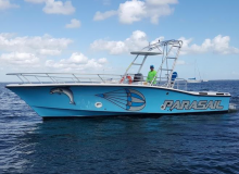 For the ultimate ride of your life!